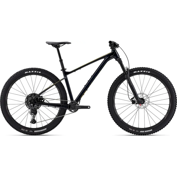 Giant Fathom 29 2 2024