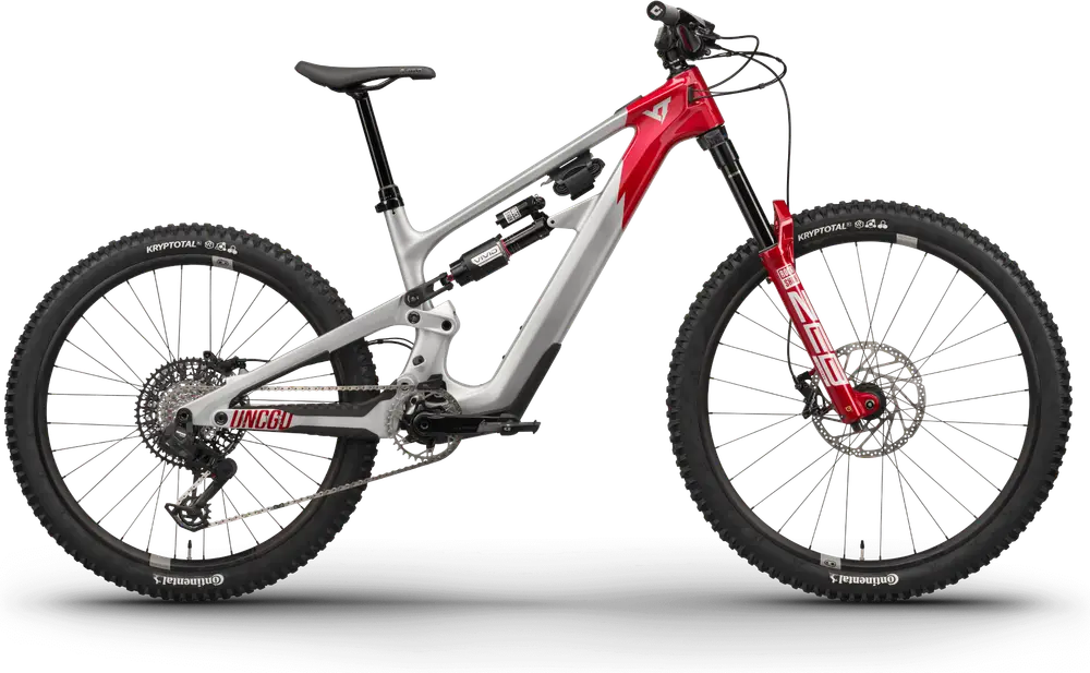 2024 YT Industries Decoy SN 170 CORE 3 MX