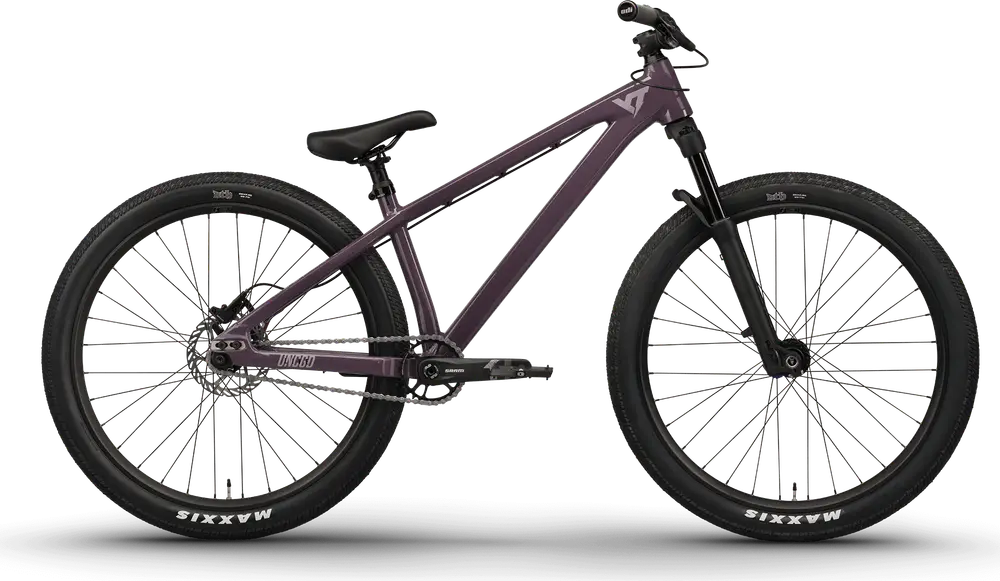 2024 YT Industries Dirtlove CORE 1 AL 26