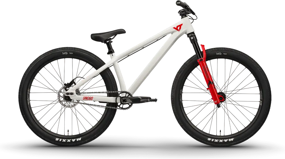 2024 YT Industries Dirtlove CORE 2 AL 26
