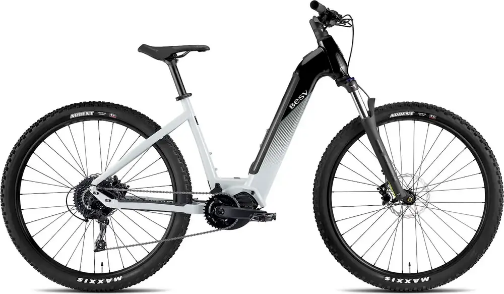 2024 Besv Trx 1.5 Ls