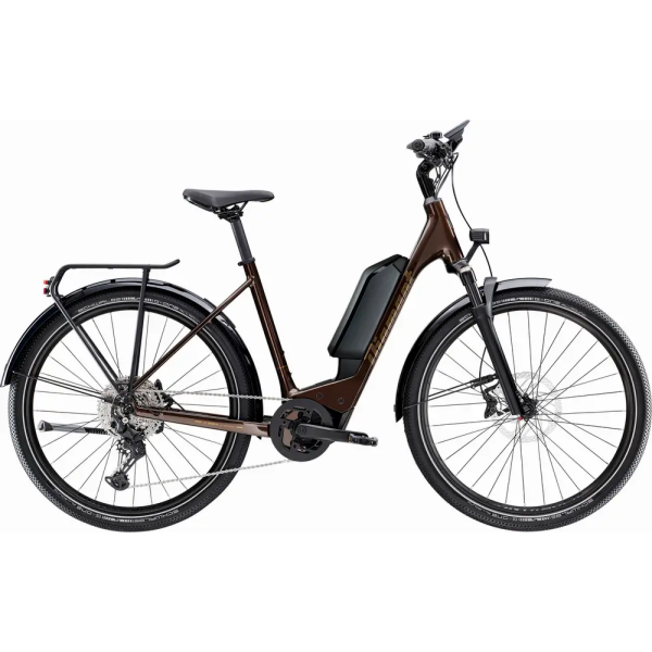 2024 Diamant Zing Deluxe (CUES) (Einstieg: tief)