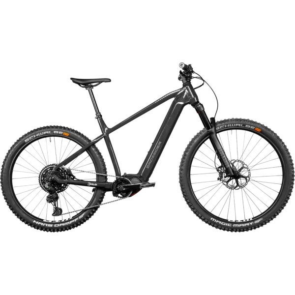 2024 Drssiger Ride-E Diamant 1