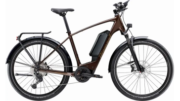 2024 Diamant Zing Deluxe Gen 2 (CUES) (Einstieg: hoch)