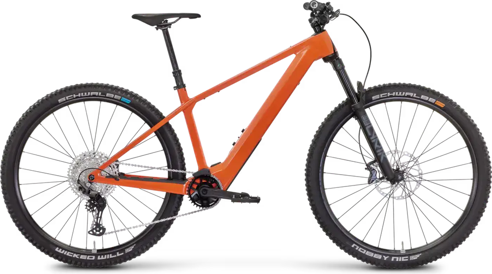 2024 Rose Bonero Plus 1