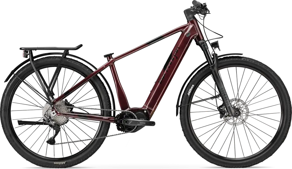 2024 Lee Moveda Electric Bike
